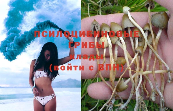 хмурый Алзамай