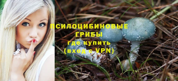 прущие крисы Алексин